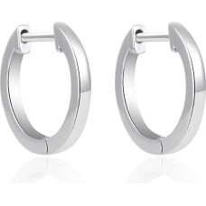 Timeless silver earrings AGT-E194K