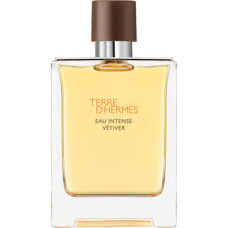 Hermes Terre DHermes Eau Intense Vetiver Edp aerosols, 50 ml