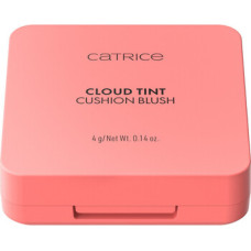 Catrice Cloud Tint Blush - Tv&aacute;řenka 4 g