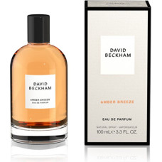 Amber Breeze - EDP - Volume: 100 ml