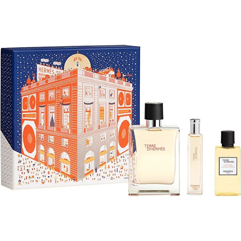 Terre D' Hermes - EDT 100 ml + shower gel 40 ml + EDT 15 ml