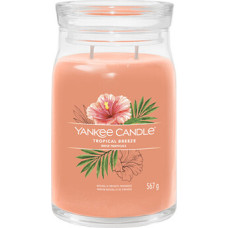 Yankee Candle Tropical Breeze Signature Candle