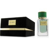 Dolce Gabbana Velvet Cypress EDP