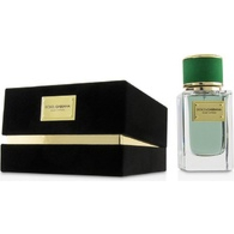Dolce Gabbana Velvet Cypress EDP