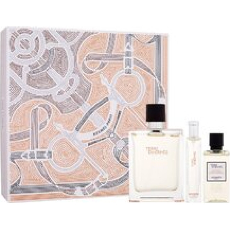 Hermes Terre d'Hermes Gift set EDT 100 ml, miniature EDT 15 ml and shower gel 40 ml
