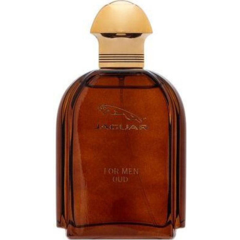 Parfimērijas ūdens Jaguar Oud For Men EDP vīriešiem, 100 ml