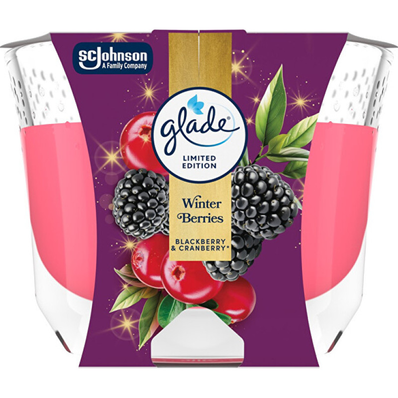 Scented candle Winter Berries 204 g