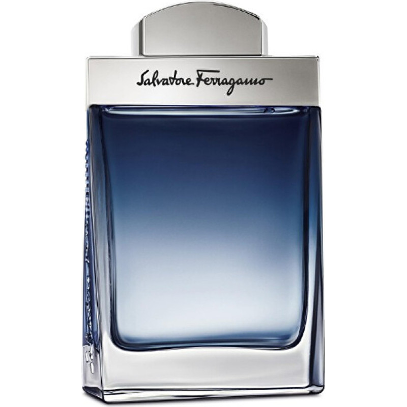 Subtil Pour Homme - EDT - Volume: 100 ml