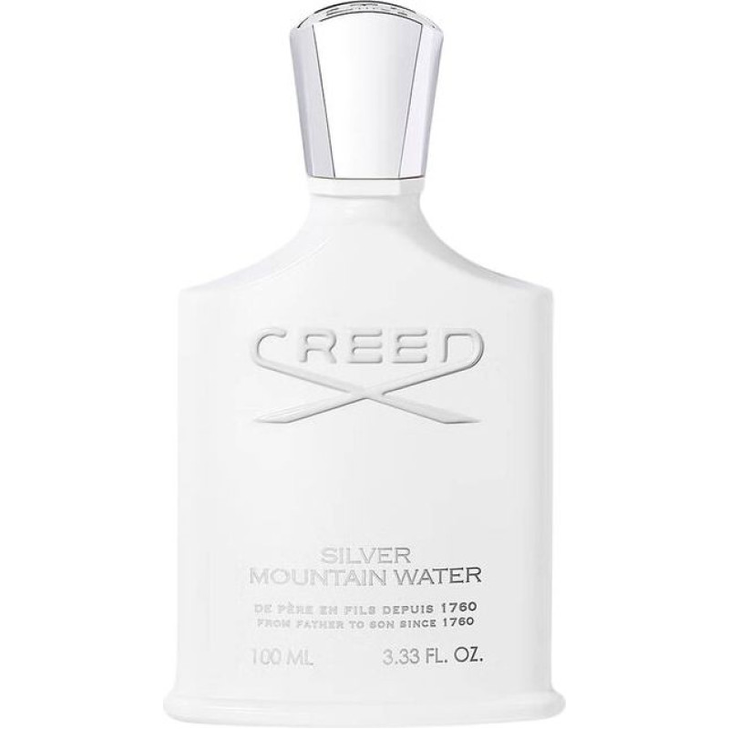 Smaržūdens vīriešiem Silver Mountain Water EDP, 50 ml