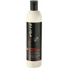 Inebrya 1S Perm For Natural Strong & Thick Hair - Permanent preparation 1S for natural firm hair