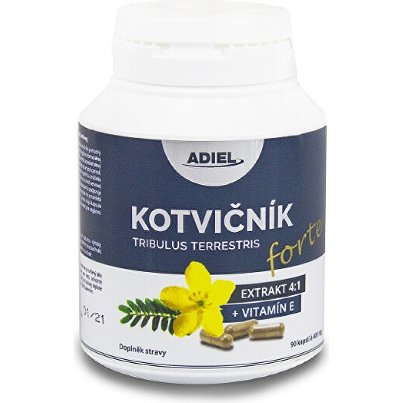 Ground anchor FORTE with vitamin E 90 pills