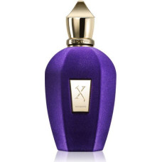 Parfimērijas ūdens sievietēm/vīriešiem XerJoff Accento, EDP, 100 ml