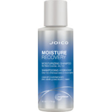 Joico Moisture Recovery Moisturizing Shampoo (dry hair)