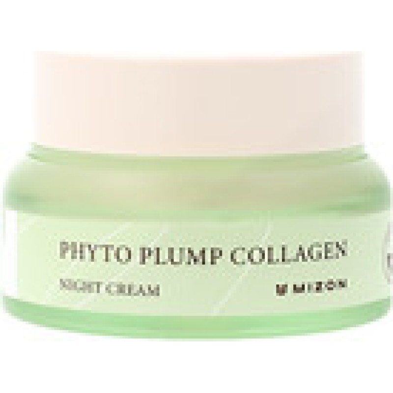 Mizon Phyto Plump Collagen Night Cream