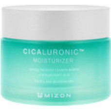 Mizon Cicaluronic Moisturizer ( such&aacute; a citliv&aacute; pleť ) - Hydratačn&iacute; pleťov&yacute; kr&eacute;m