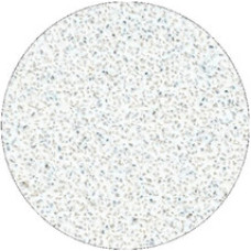 Staleks Pro L hrubost 80 White Refill Pads for Pedicure Disc - N&aacute;hradn&iacute; brusn&yacute; pap&iacute;r pro pedik&eacute;rsk&yacute; kotouč 50 ks