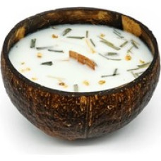 Tropikalia Sv&iacute;čka v kokosu - vůně Citr&oacute;nov&aacute; tr&aacute;va & z&aacute;zvor