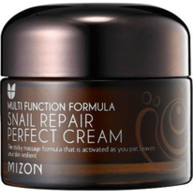 Mizon Face cream with snail secretion filtrate 60% for problematic skin (Snail Repair Perfect Cream) 50 ml
