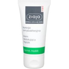 Ziaja Antibacterial Treatment Anti-Acne Cream - Day Cream