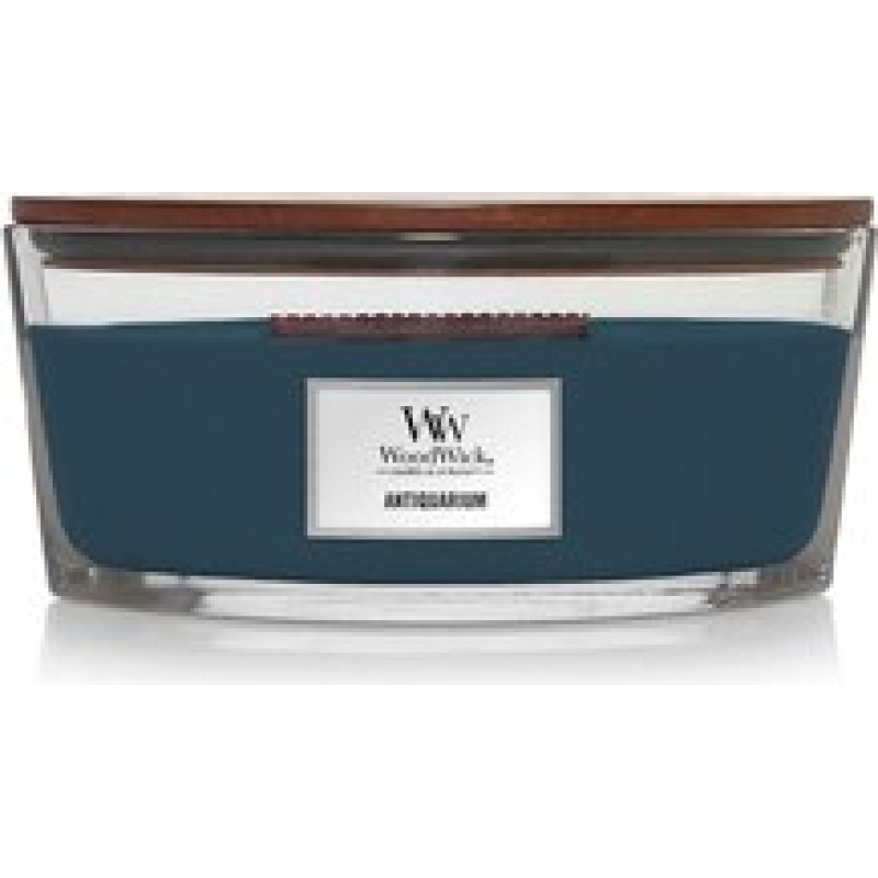 Woodwick Antiquarium Ship (antique store)