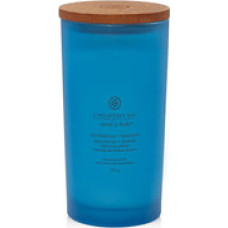 Chesapeake Bay Confidence & Freedom Candle ( tumbler velk&yacute; ) - Vonn&aacute; sv&iacute;čka