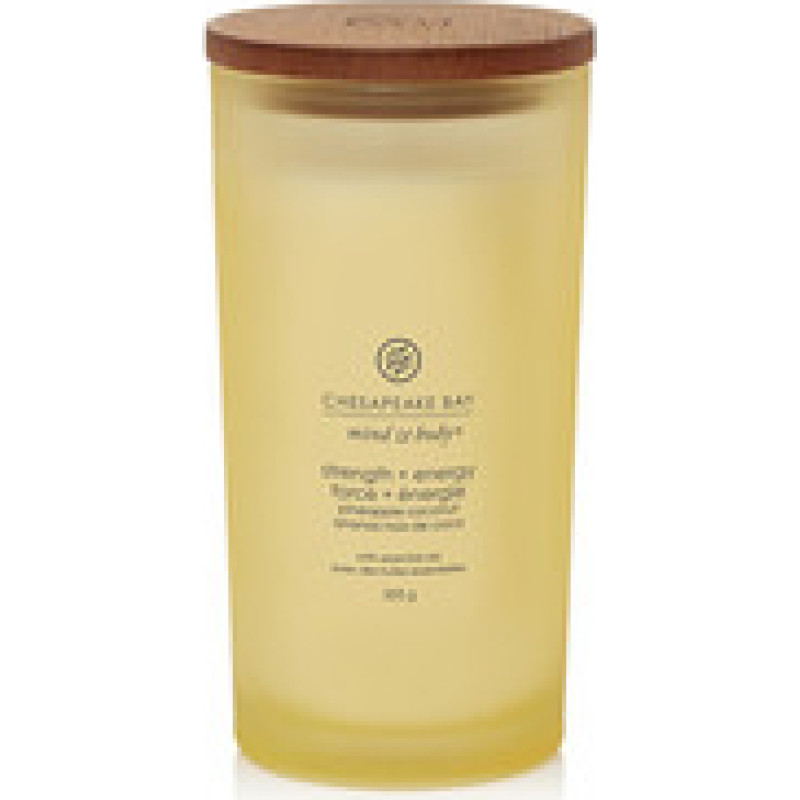 Chesapeake Bay Strength & Energy Candle ( tumbler velk&yacute; ) - Vonn&aacute; sv&iacute;čka