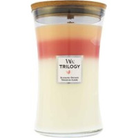 Woodwick Blooming Orchard Trilogy Vase ( Blooming Orchard )