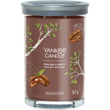 Yankee Candle Praline & Birch Signature Tumbler Candle