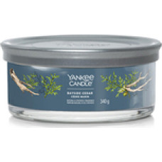Yankee Candle Bayside Cedar Signature Tumbler Candle