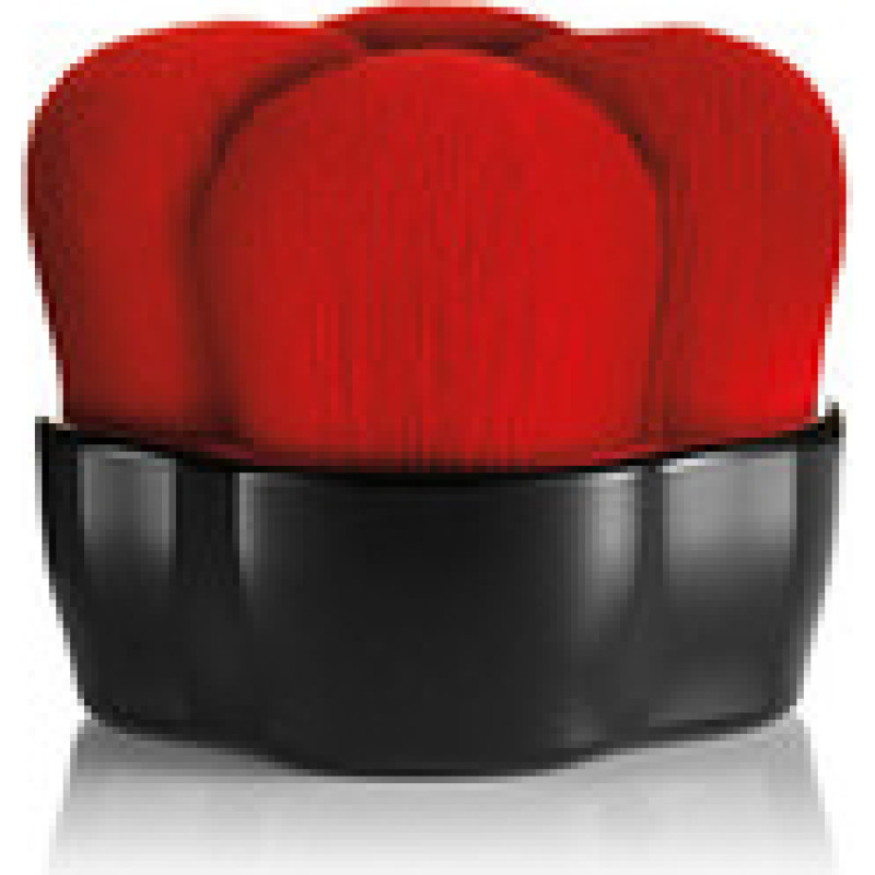 Shiseido Hanatsubaki Hake Polishing Face Brush