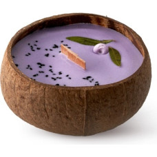 Tropikalia Sv&iacute;čka z kokosu - vůně Borůvka a vanilka