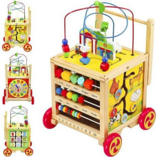 Izglītojošais labirinta kubs Kruzzel