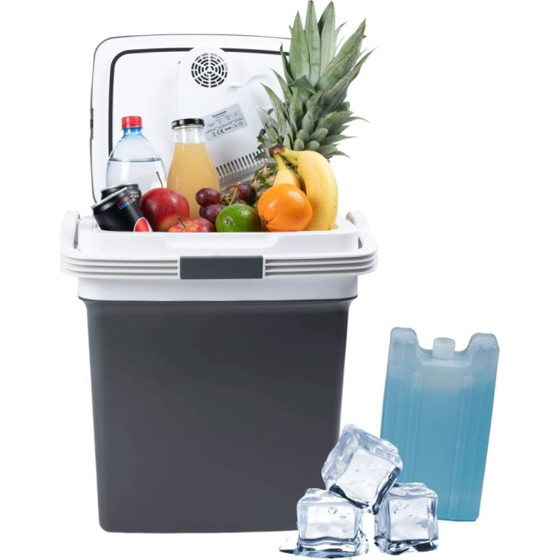 Longwell Industrial Ltd Portable car cooler, 29L, 220-240V DC12V, heating function, free insert, graphite
