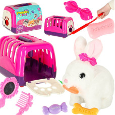 Burkānu zaķis trusis plīša pastaigas kustas ausis