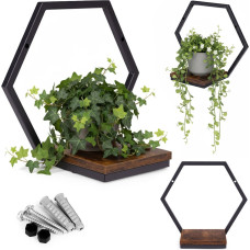Modernhome Wall Plant Stand Hanging Shelf for Flowers Decorations Loft Hexagon ModernHome