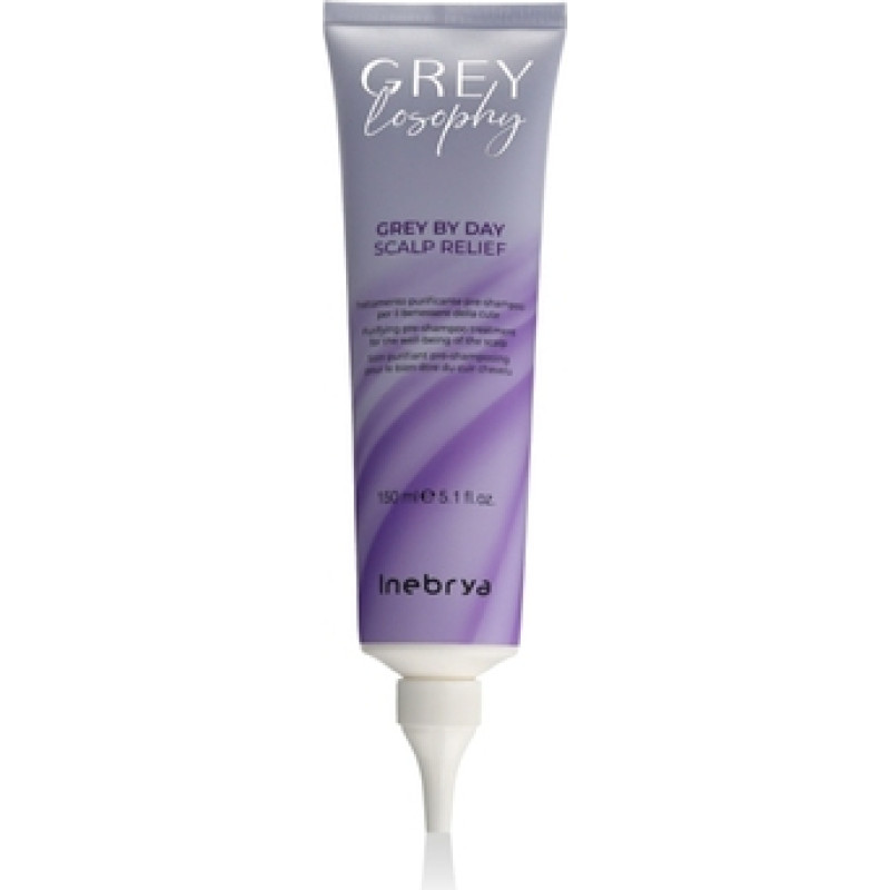 Inebrya Grey By Day Scalp Relief Shampoo
