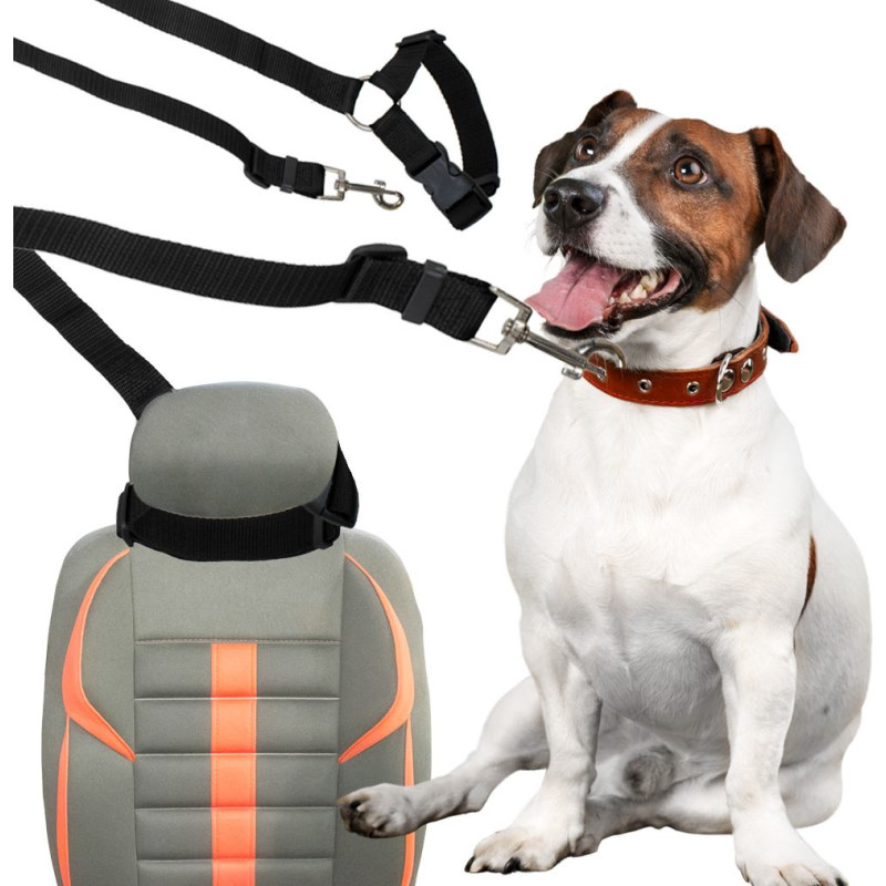 Automašīnas drošības jostas pavadas sunim kaķim