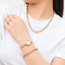 Luksusa aproce - DANIEL WELLINGTON - DW00400572 - 316L tērauds - Kristāli - 15,5 cm