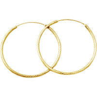 Beneto Luksusa apzeltīti auskari no sudraba AGUC1240 / N-GOLD