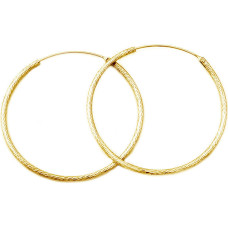 Beneto Luksusa apzeltīti auskari no sudraba AGUC1240 / N-GOLD