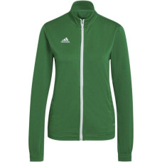 Sieviešu džemperis adidas Entrada 22 HI2136, zaļš