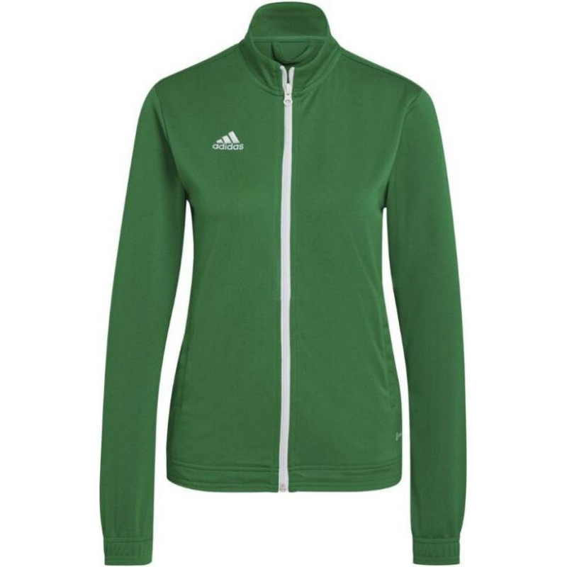 Sieviešu džemperis adidas Entrada 22 HI2136, zaļš