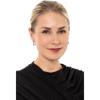 Mūsdienīgi taisnstūra tērauda auskari Troli VGE633S sTO3855