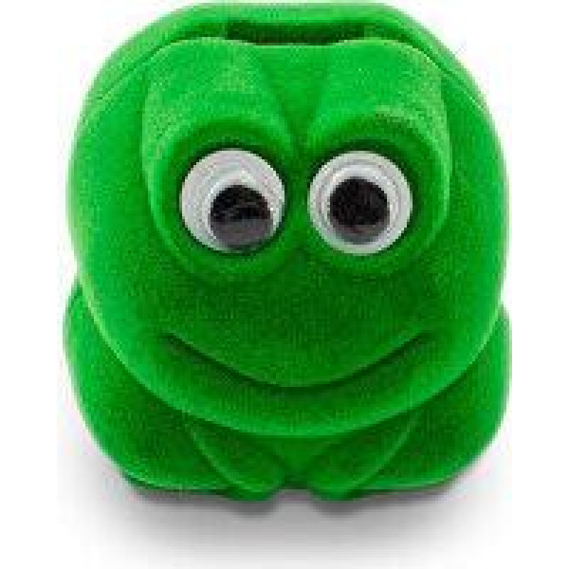 Beneto Zamšādas dāvanu kastīte Frog KDET16