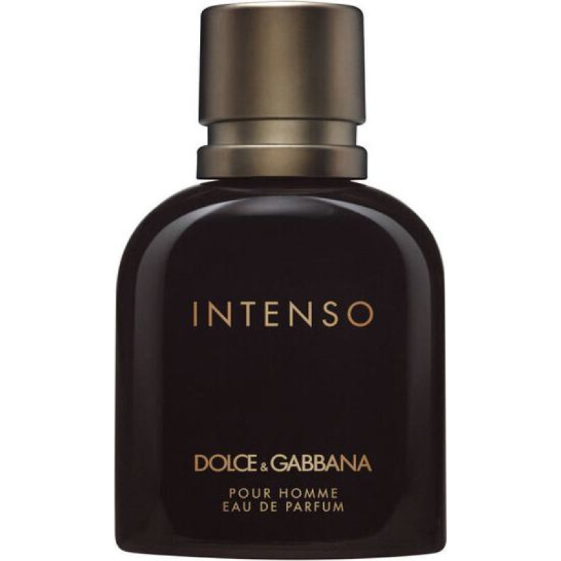 Tualetes ūdens Dolce&Gabbana Intenso Pour Homme EDP vīriešiem 40 ml