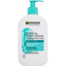 Garnier Skin Naturals Hyaluronic Aloe, 250 ml