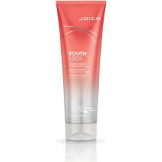 Matu kondicionieris aizsardzībai un spīdumam sausiem matiem Joico Youth Lock Conditioner, 250 ml