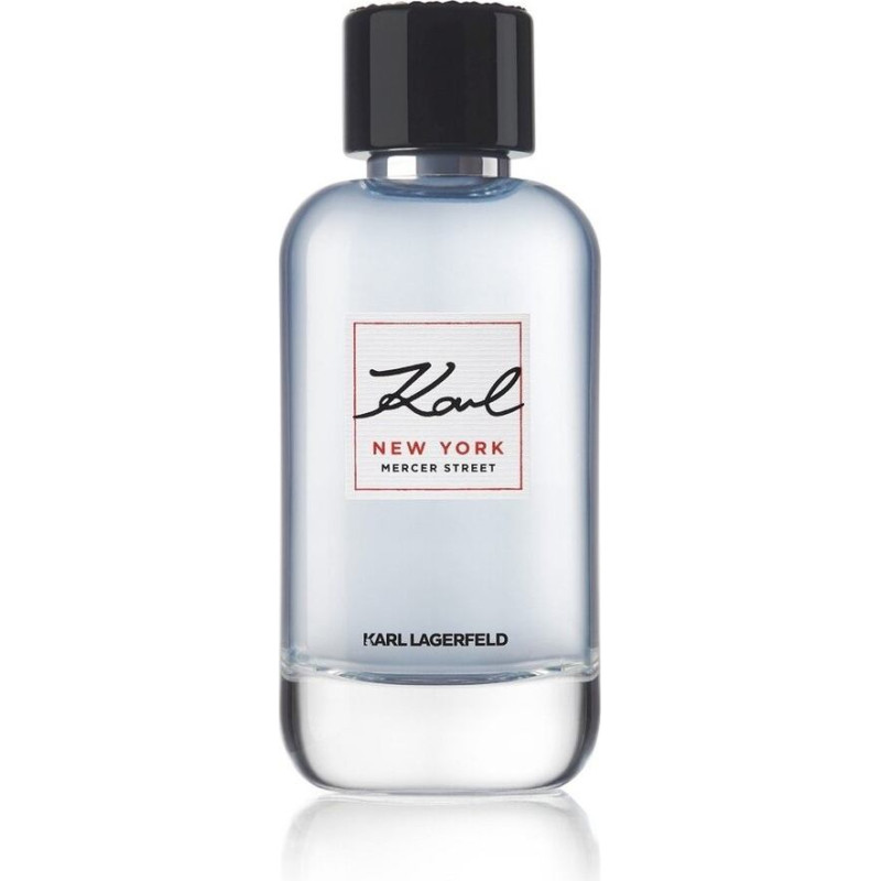 Vīriešu smaržas Karl Lagerfeld Karl EDT, 100 ml