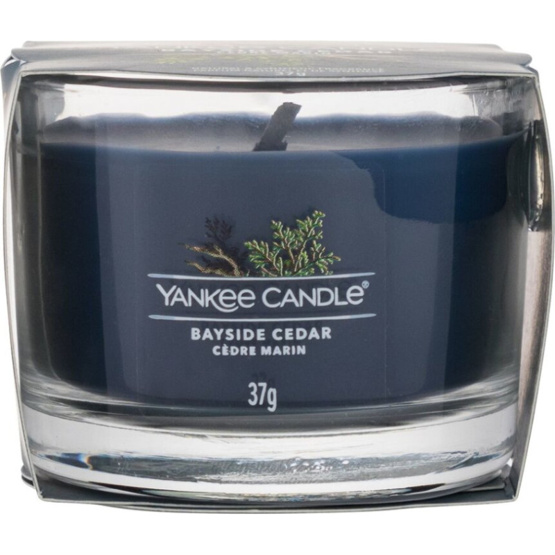 Yankee Candle Bayside Cedar Mini Candle