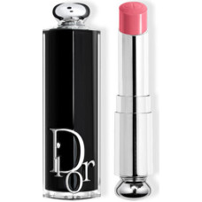 Lūpu krāsa Dior Addict Lipstick Barra De Labios 373